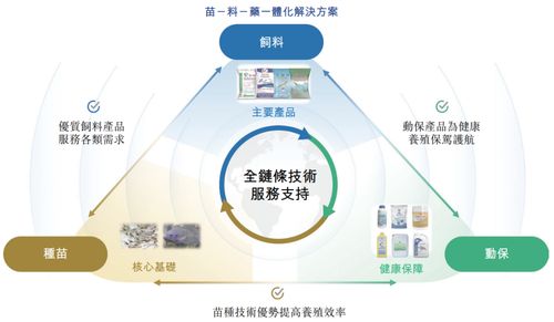 海大國際遞表港交所 分拆自海大集團，2024年凈利潤強勢翻倍